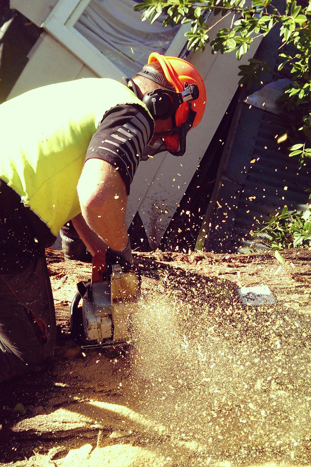 Stump grinding is what happens AFTER a tree has been removed