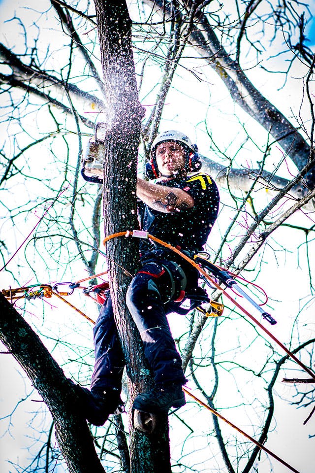 Health & Safety Plan, Nelson Tree Specialists